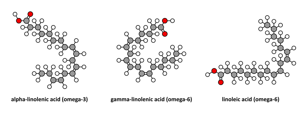 Diagram of structure of essential fatty acids