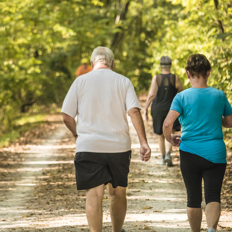 An older man and woman walking in the woods
