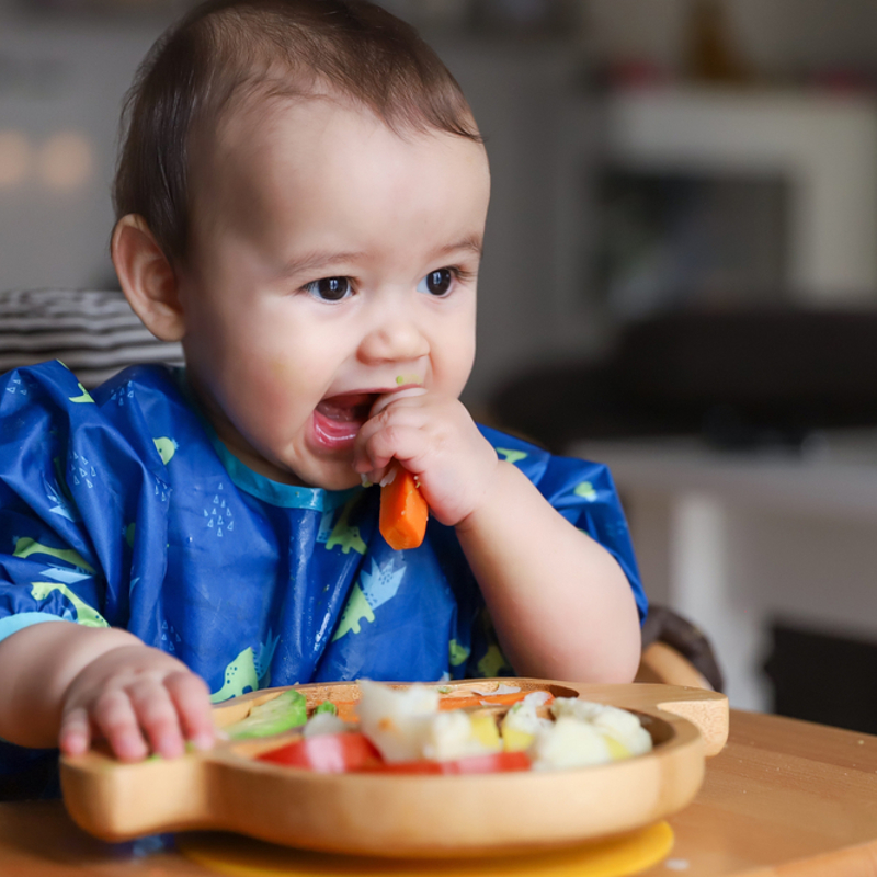 Baby eating finger food of carrots